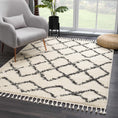 Load image into Gallery viewer, Wallagrass Beige Trellis Tassel Shag - Clearance
