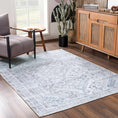 Load image into Gallery viewer, Barny Gray Washable Area Rug
