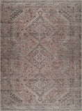 Load image into Gallery viewer, Barny Brown Washable Rug
