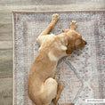 Load image into Gallery viewer, Analu Peach Washable Area Rug
