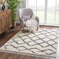 Load image into Gallery viewer, Wallagrass Beige Trellis Tassel Shag - Clearance
