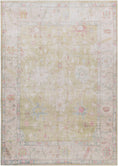 Load image into Gallery viewer, Bozkurt Distressed Washable Rug
