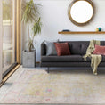 Load image into Gallery viewer, Bozkurt Distressed Washable Rug
