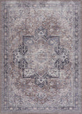 Load image into Gallery viewer, Abner Washable Area Rug - Clearance
