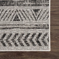 Load image into Gallery viewer, Catrine Indoor & Outdoor Rug
