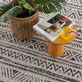 Load image into Gallery viewer, Catrine Indoor & Outdoor Rug
