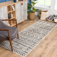 Load image into Gallery viewer, Catrine Indoor & Outdoor Rug
