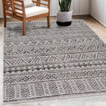 Load image into Gallery viewer, Catrine Indoor & Outdoor Rug
