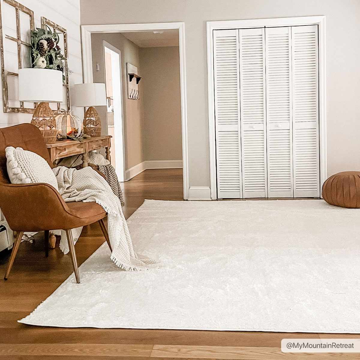 Judy Solid White Washable Shag Rug