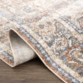 Load image into Gallery viewer, Arias Beige Blue Washable Area Rug
