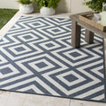 Load image into Gallery viewer, Abilene Outdoor Rug - Clearance
