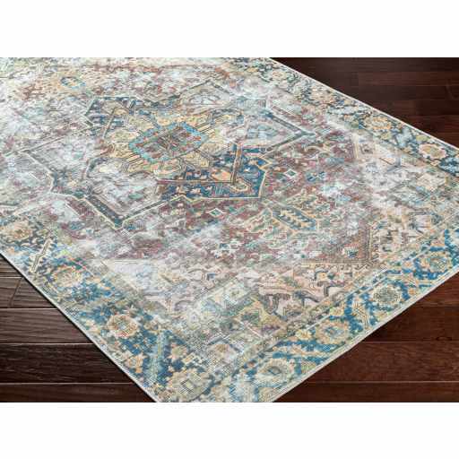 Blue Catigpian Distressed Washable Area Rug - Clearance