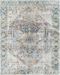 Load image into Gallery viewer, Blue Catigpian Distressed Washable Area Rug - Clearance
