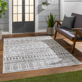 Load image into Gallery viewer, Catrine Indoor & Outdoor Rug
