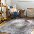 Load image into Gallery viewer, Baltinglass Gray Washable Rug
