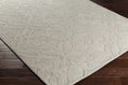 Load image into Gallery viewer, Fyffe Embossed Beige Wool Area Rug
