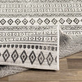 Load image into Gallery viewer, Imboden Black&White Outdoor Rug
