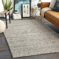 Load image into Gallery viewer, Lucerne Gray LNE-1001 Wool Rug
