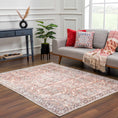 Load image into Gallery viewer, Bian Washable Distressed Rug - Limited Edition
