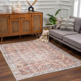 Load image into Gallery viewer, Bian Washable Distressed Rug - Limited Edition
