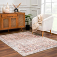 Load image into Gallery viewer, Bian Washable Distressed Rug - Limited Edition
