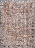 Load image into Gallery viewer, Bian Washable Distressed Rug - Limited Edition
