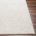 Load image into Gallery viewer, Judy Solid White Washable Shag Rug
