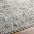 Load image into Gallery viewer, Anzu Washable Area Rug
