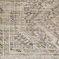 Load image into Gallery viewer, Barny Beige Washable Area Rug
