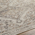 Load image into Gallery viewer, Barny Beige Washable Area Rug
