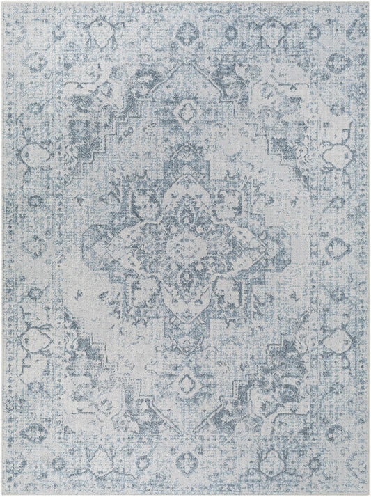 Ankti Aqua Washable Area Rug