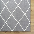 Load image into Gallery viewer, Amani Gray Washable Rug - Clearance
