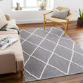 Load image into Gallery viewer, Amani Gray Washable Rug - Clearance
