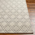 Load image into Gallery viewer, Aeron Wool Area Rug
