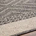 Load image into Gallery viewer, Beige Brown Areli Outdoor Rug
