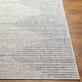 Load image into Gallery viewer, Stephan Gray & Blue Outdoor Rug
