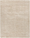 Load image into Gallery viewer, Siari Solid Oatmeal Shag Rug
