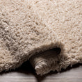 Load image into Gallery viewer, Siari Solid Oatmeal Shag Rug
